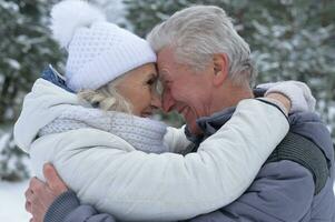 Happy senior couple at snowy winter park photo