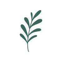 Botanical green branch leaf. Hand drawn floral leaf design element. Cute doodle leaf for wedding invitations, greeting cards, blogs, posters and more. Concept use botanical leaf in floral design vector