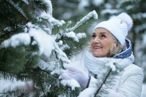Nice old woman in a fur coat in the winter photo
