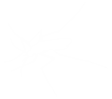 Mosquito Silhouette, can use for Art Illustration Pictogram, Website, and Graphic Design Element. Format PNG