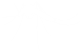 Mosquito Silhouette, can use for Art Illustration Pictogram, Website, and Graphic Design Element. Format PNG