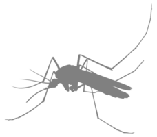 Mosquito Silhouette, can use for Art Illustration Pictogram, Website, and Graphic Design Element. Format PNG