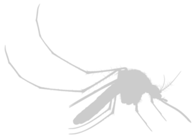 Mosquito Silhouette, can use for Art Illustration Pictogram, Website, and Graphic Design Element. Format PNG