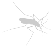 Mosquito Silhouette, can use for Art Illustration Pictogram, Website, and Graphic Design Element. Format PNG