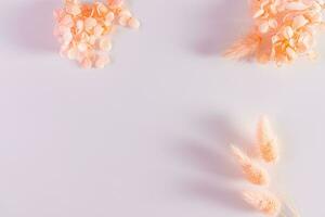 Flowers composition. Frame made of dried flowers of peach-colored on white background. Flat lay, top view, copy space. Year 2024 Peach Fuzz. photo