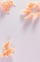 flores composición. marco hecho de seco flores en blanco antecedentes. plano poner, parte superior vista, Copiar espacio. vertical vista. color de el año 2024 melocotón pelusa foto