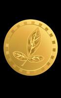 Gold coin of leaf vector