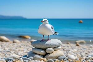 AI generated seagull sitting on rocks at sea on a sunny day photo