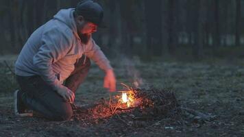 vandrare i grå tillfällig Kläder framställning en bål i kväll skog. små lägereld i bearbeta. natur turism begrepp. statisk mitten vinkel skott video