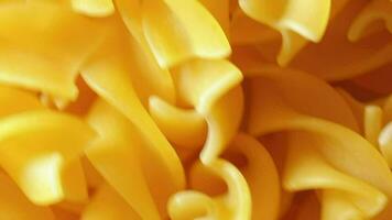 ungekocht Fusilli Pasta mit Spiral- bilden ziehen um Hintergrund, oben Sicht. golden roh und trocken Fusilli Makkaroni Textur im Umzug. Italienisch Kultur und Küche video