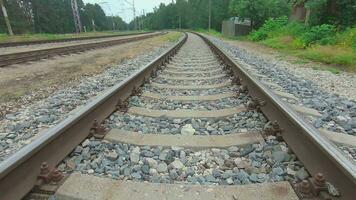 Moviente adelante a lo largo el ferrocarril yendo mediante el pino bosque. europeo ferrocarril para eléctrico tren suave movimiento en cardán estabilizador video