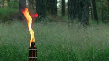 bambou torche brûlant dans le européen forêt. décoratif tropical bougie a une massif Orange flamme en utilisant pétrole carburant ou kérosène. statique coup video