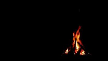 Verbrennung Lagerfeuer gelegen auf das richtig Seite von das rahmen, isoliert auf schwarz Hintergrund. flammend Lagerfeuer im Nacht Wald. statisch Schuss video