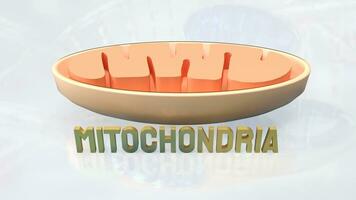 The Mitochondria for sci or health concept 3d rendering. photo