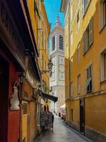 Cathedral Sainte-Reparate - Nice, France photo