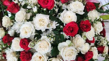 Beautiful red and white roses in a bridal bouquet. photo