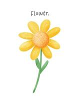 Cute yellow daisy flower with stem watercolor hand drawing illustration vector