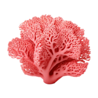 AI generated Vibrant Coral Isolated on Transparent Background png