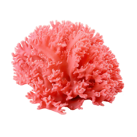 AI generated Vibrant Coral Isolated on Transparent Background png