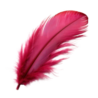 AI generated Delicate Downy Feather Isolated on Transparent Background png