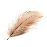 AI generated Delicate Downy Feather Isolated on Transparent Background png