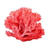 AI generated Vibrant Coral Isolated on Transparent Background png