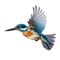 AI generated Flying kingfisher isolated on a transparent background. png