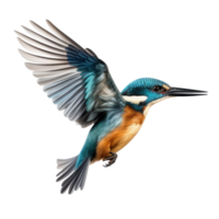 AI generated Flying kingfisher isolated on a transparent background. png