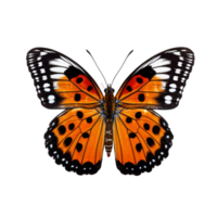 AI generated Graceful Butterfly in Isolated on Transparent Background png