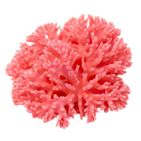 AI generated Vibrant Coral Isolated on Transparent Background png