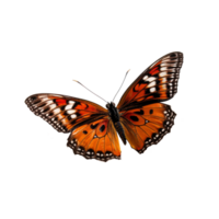 AI generated Graceful Butterfly in Side View Isolated on  Transparent Background png