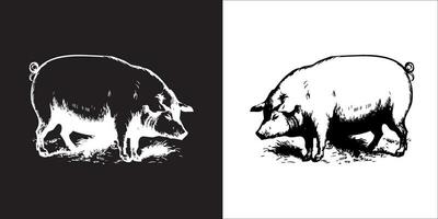 Illustration vector graphics of pig icon