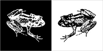 Illustration vector graphics of frog icon