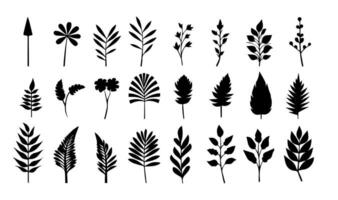 Set of black silhouettes of leaves and flowers. Vector illustration.