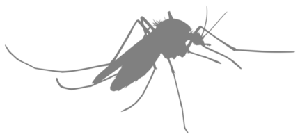 Mosquito Silhouette, can use for Art Illustration Pictogram, Website, and Graphic Design Element. Format PNG