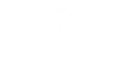 mosquito silhueta, pode usar para arte ilustração pictograma, local na rede Internet, e gráfico Projeto elemento. formato png