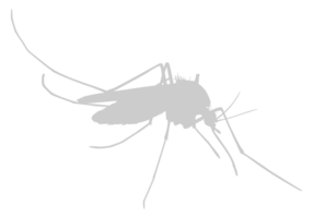 Mosquito Silhouette, can use for Art Illustration Pictogram, Website, and Graphic Design Element. Format PNG