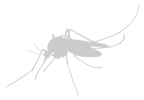 mosquito silueta, lata utilizar para Arte ilustración pictograma, sitio web, y gráfico diseño elemento. formato png