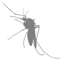 mosquito silhueta, pode usar para arte ilustração pictograma, local na rede Internet, e gráfico Projeto elemento. formato png