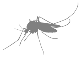 Mosquito Silhouette, can use for Art Illustration Pictogram, Website, and Graphic Design Element. Format PNG