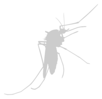 Mosquito Silhouette, can use for Art Illustration Pictogram, Website, and Graphic Design Element. Format PNG