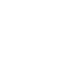 Mosquito Silhouette, can use for Art Illustration Pictogram, Website, and Graphic Design Element. Format PNG