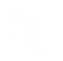 zanzara silhouette, può uso per arte illustrazione pittogramma, sito web, e grafico design elemento. formato png