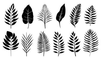 Set of black silhouettes of leaves and flowers. Vector illustration.