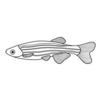 mano dibujado dibujos animados vector ilustración cebra pescado icono aislado en blanco antecedentes