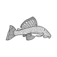 Hand drawn Cartoon Vector illustration suckermouth catfish icon Isolated on White Background
