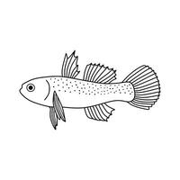 Hand drawn Cartoon Vector illustration freshwater goby fish icon Isolated on White Background