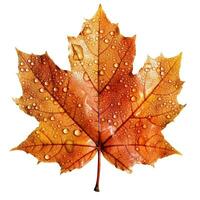 AI generated Single Spring autumn maple leaf with white background Created with generative Ai photo