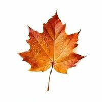 AI generated Single Spring autumn maple leaf with white background Created with generative Ai photo