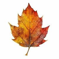 AI generated Single Spring autumn maple leaf with white background Created with generative Ai photo